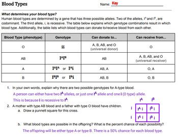Human Blood Types Teaching Resources Teachers Pay Teachers Blood Types Worksheet Middle School - Blood Types Worksheet Middle School