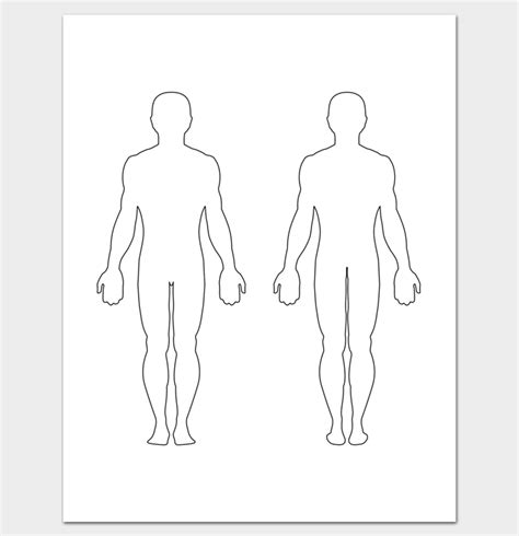 Human Body Outline Front And Back Vector Png Human Body Organs Unlabelled - Human Body Organs Unlabelled