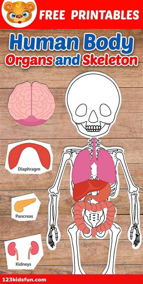 Human Body Printables The Home Teacher Printable Body Parts Cut And Paste - Printable Body Parts Cut And Paste