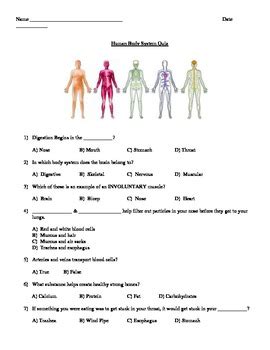 Human Body Systems Practice Test 1 317 Plays Human Body 7th Grade Science - Human Body 7th Grade Science