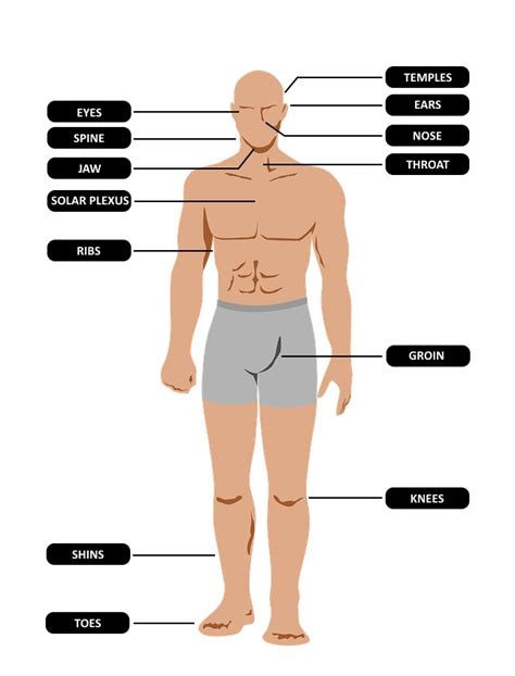 Human Body Weak Points