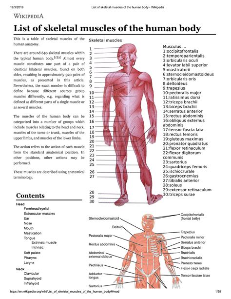 Human Body Wikipedia Human Body With Labels - Human Body With Labels