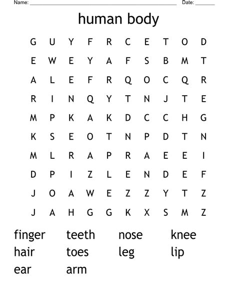 Human Body Word Search Wordmint Inside The Human Body Word Search - Inside The Human Body Word Search
