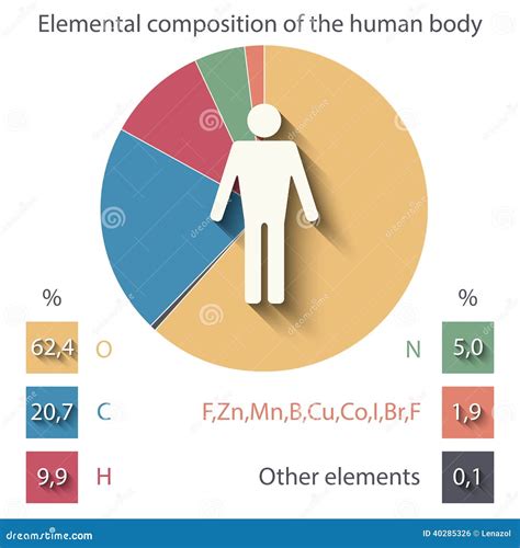 Human Elemental Composition