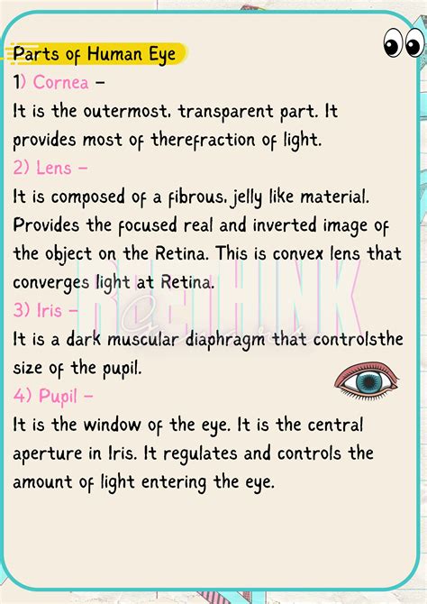 Human Eye Notes