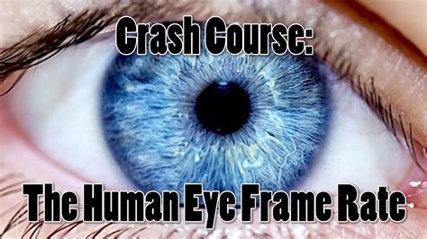 Human Fps Limit