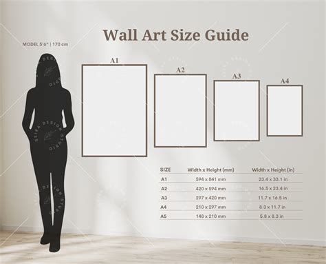Human Frame Size