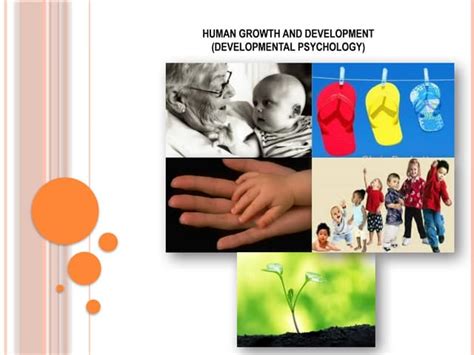 Human Growth And Development 2nd Edition