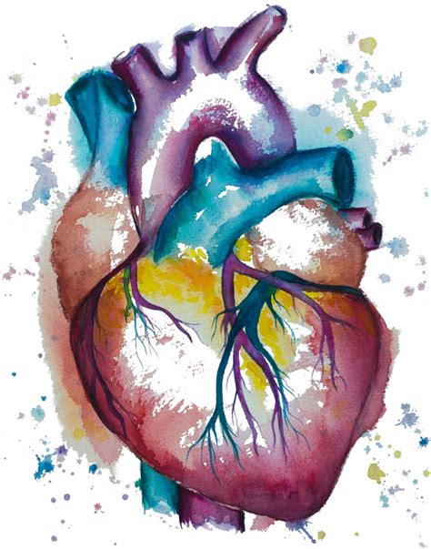 Human Heart Art Watercolor