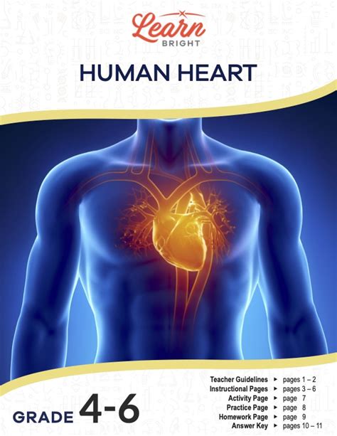 Human Heart Free Pdf Download Learn Bright The Human Heart Worksheet Answer Key - The Human Heart Worksheet Answer Key
