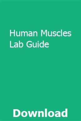 Human Muscles Lab Guide
