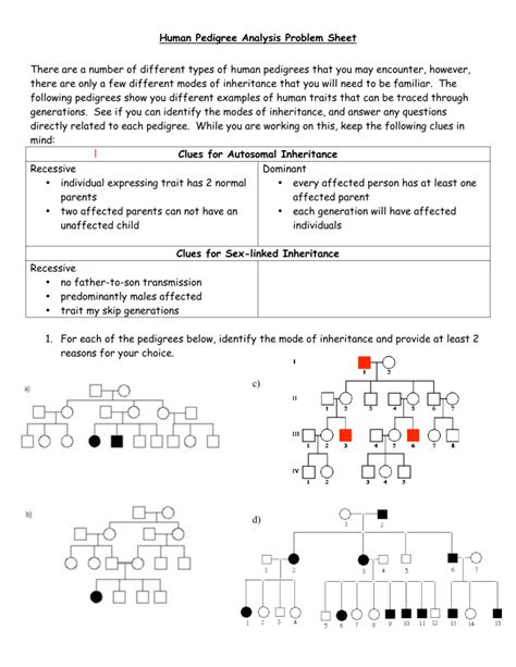 Human Pedigree Analysis Problem Sheet Answer Key