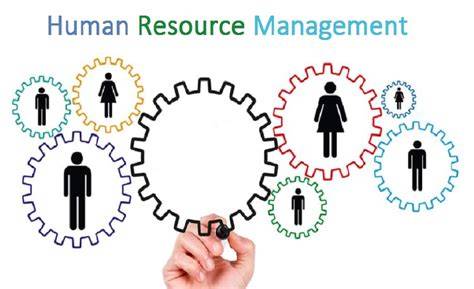 Human Resource Management: A Basic Introduction