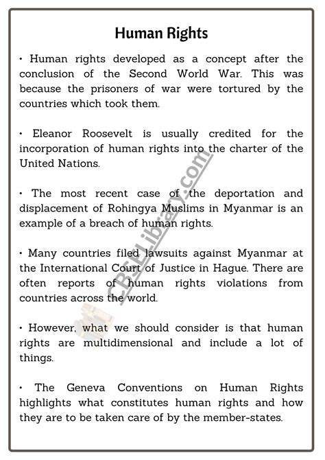 Human Rights Essay
