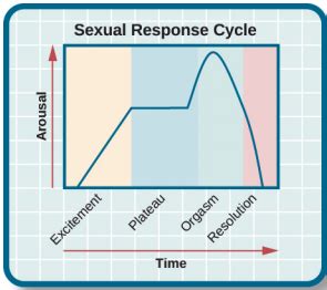 Human Sexual Response