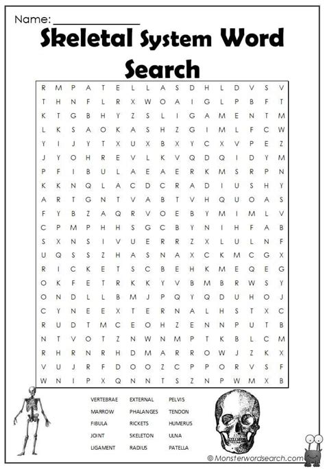 Human Skeletal System Word Search With Answers Twinkl Human Skeleton Worksheet Answers - Human Skeleton Worksheet Answers