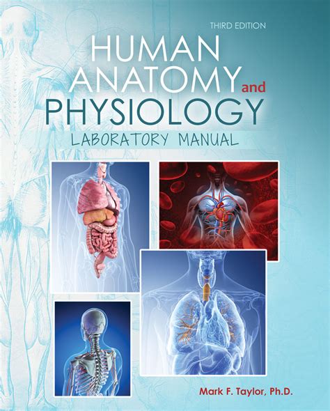 Read Online Human Anatomy And Physiology Lab Manual Main 