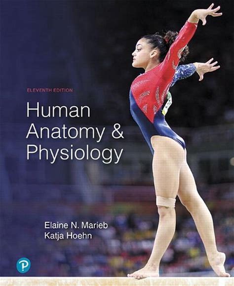 Read Online Human Anatomy And Physiology Marieb 7Th Edition Test Bank 