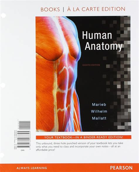 Full Download Human Anatomy And Physiology Marieb 8Th Edition Study Guide 