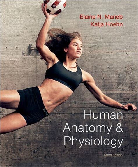 Read Online Human Anatomy And Physiology Marieb 9Th Edition Lab Manual Answers 