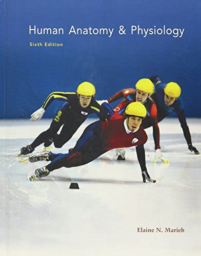 Read Online Human Anatomy And Physiology Marieb Sixth Edition 
