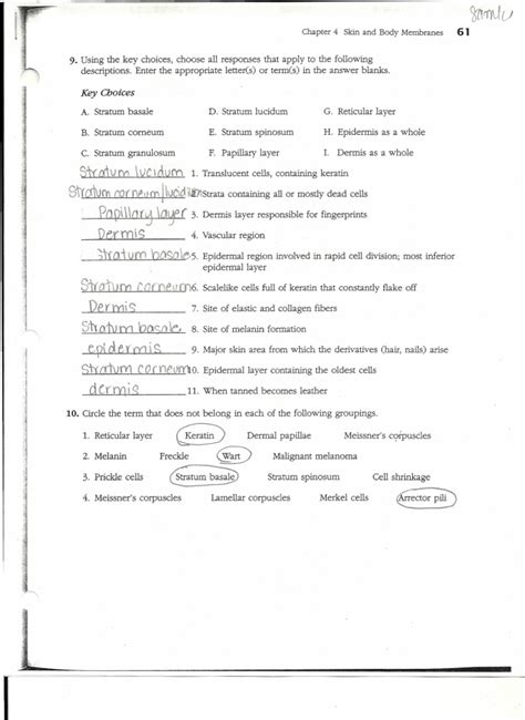 Download Human Anatomy And Physiology Worksheet Answers 
