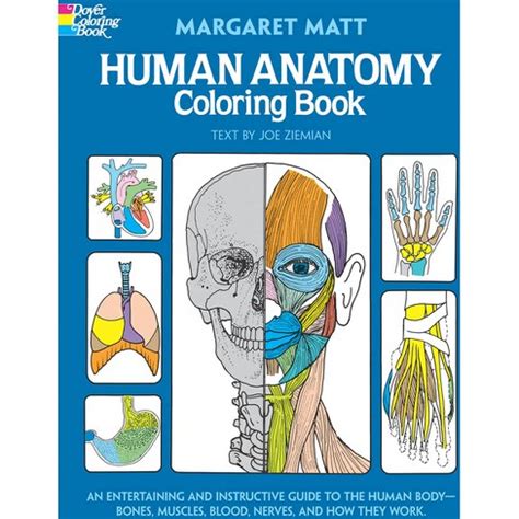Full Download Human Anatomy Coloring Book By Margaret Matt 