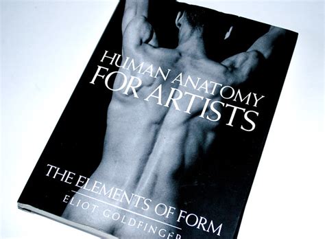 Read Online Human Anatomy For Artists The Elements Of Form 