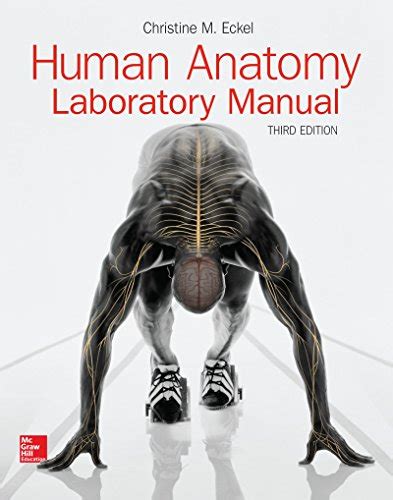 Full Download Human Anatomy Lab Manual 3Rd Atomm 