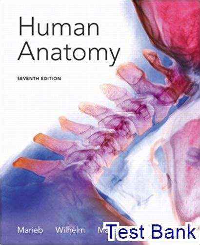 Download Human Anatomy Marieb 7Th Edition Test Bank 