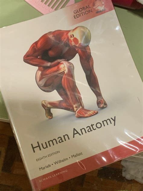 Read Online Human Anatomy Marieb 8Th Edition 