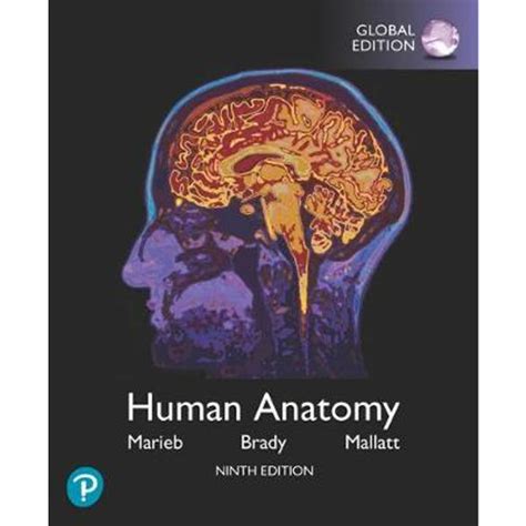 Read Human Anatomy Marieb 9Th Edition 