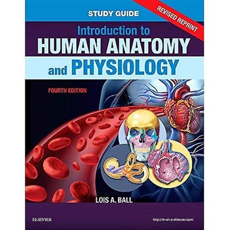 Download Human Anatomy Study Guide 