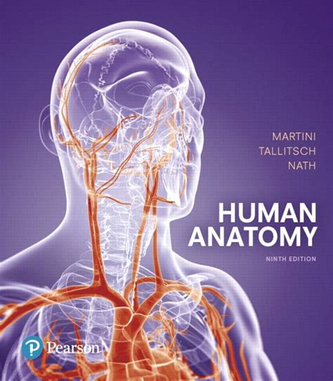 Read Human Anatomy Textbook Martini 6Th Edition 