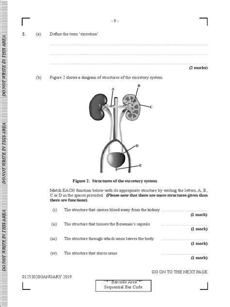 Download Human And Social Biology Csec Past Papers 