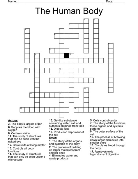 Read Human Body Crossword Puzzle Answers 