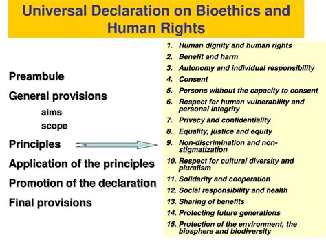 Full Download Human Dignity Bioethics And Human Rights 