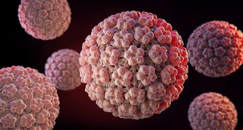 Read Human Papillomaviruses 1 Human Papillomavirus Hpv Infection 