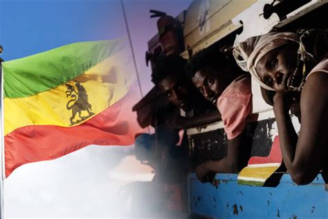 Read Online Human Rights Abuses And Political Repression In Ethiopia S 