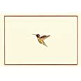 Read Hummingbird Flight Note Cards Stationery Boxed Cards 