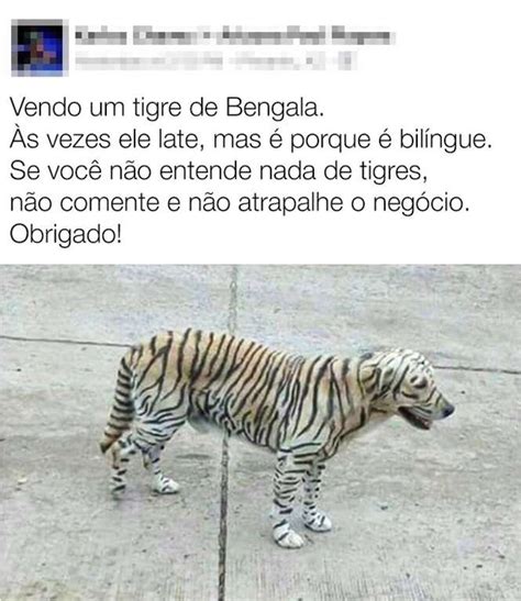 Humor Negro Piadas
