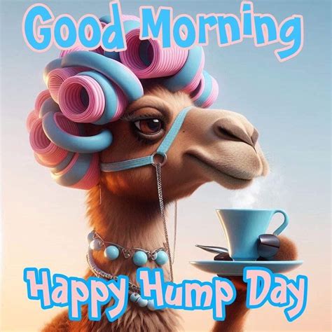 Hump Day Happy