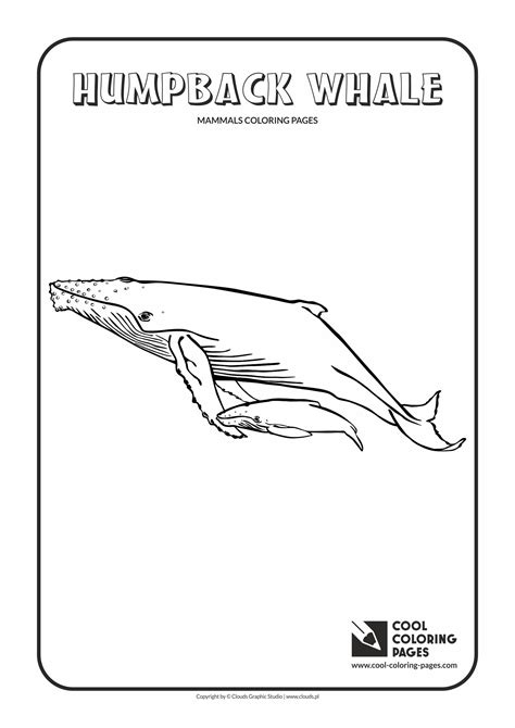 Humpback Whale Coloring Page Cool Coloring Pages Humpback Whale Coloring Pages - Humpback Whale Coloring Pages