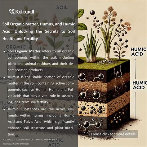 Humus Soil Acid