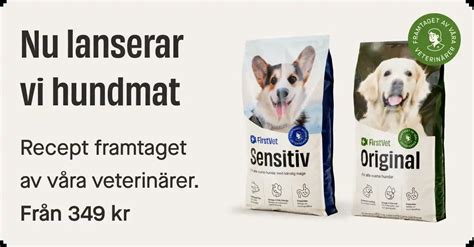 hund bad first vet