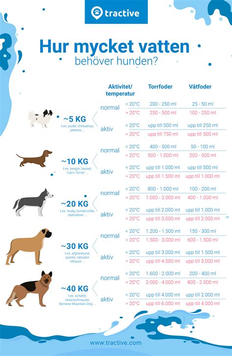 hund dricker inte vatten