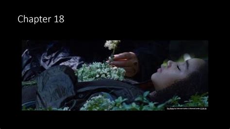 Hunger Games Chapter 18