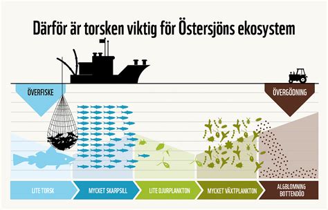 hur är fisket i östersjön