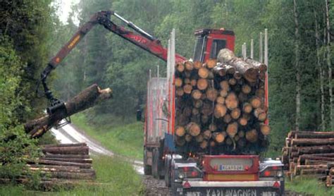 hur  många kostar  enstaka  skogsbruk mulcher