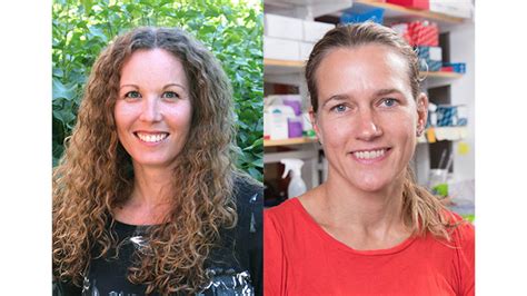 hur  provar man  till cancer